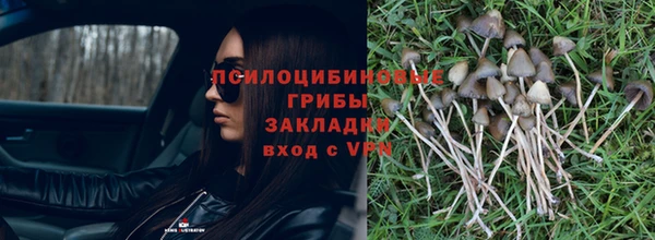 мет Майский