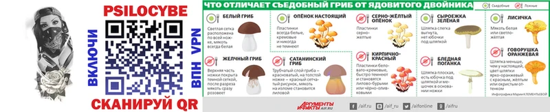 Галлюциногенные грибы GOLDEN TEACHER  Купить где  Курск 